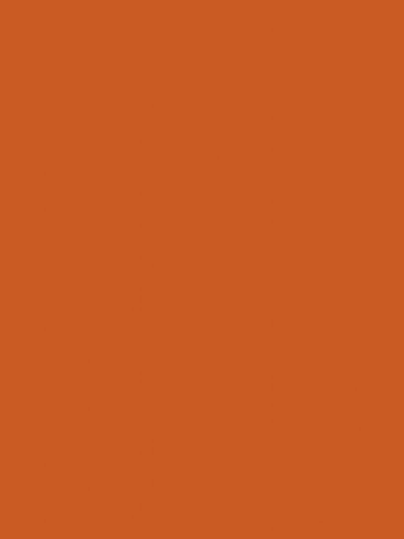 Peinture céramique et multi surfaces Chamois 45 ml N/A