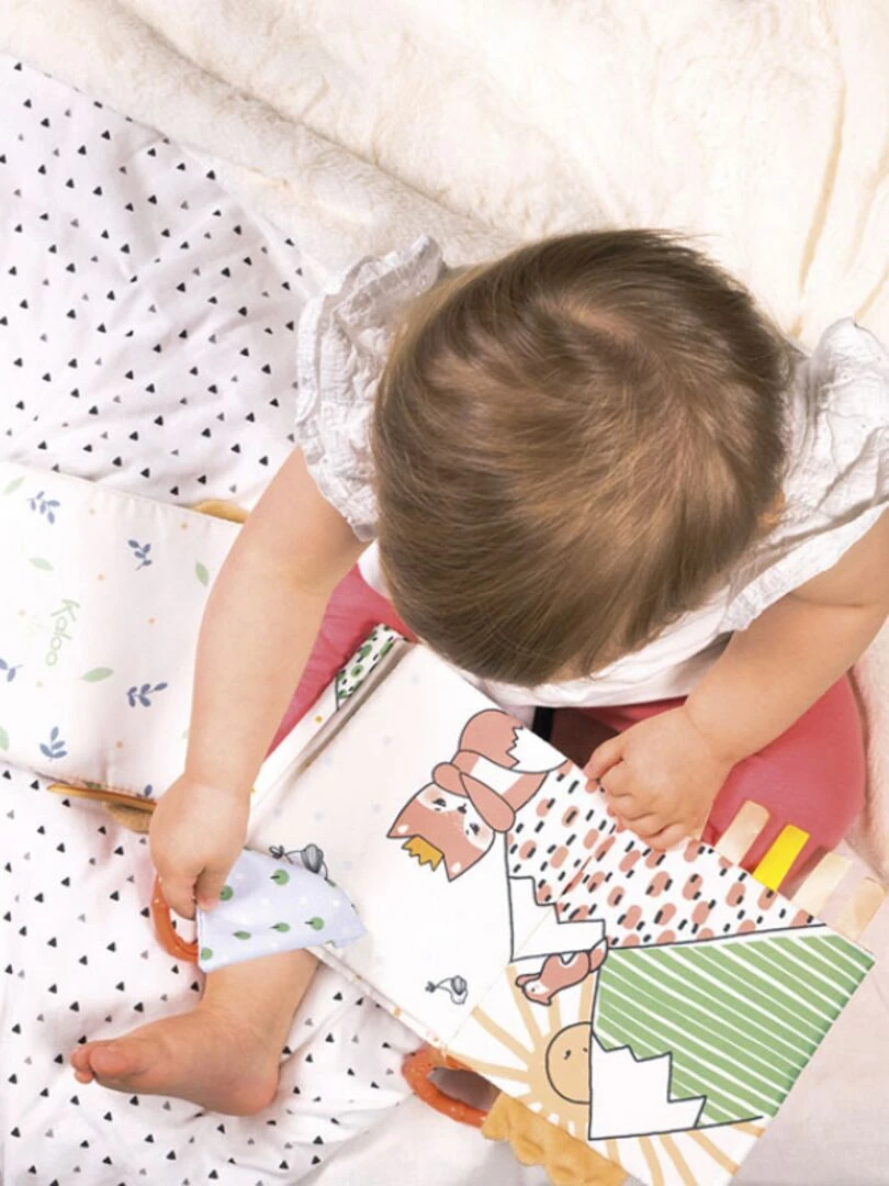 Livre bébé Le renardeau colérique   N/A