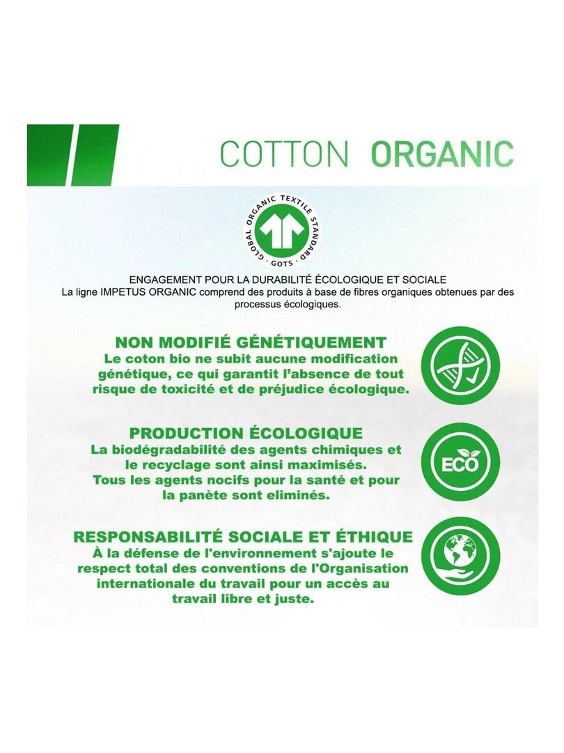 Slip bio organique Oeko Tex Cotton Organic   Bleu
