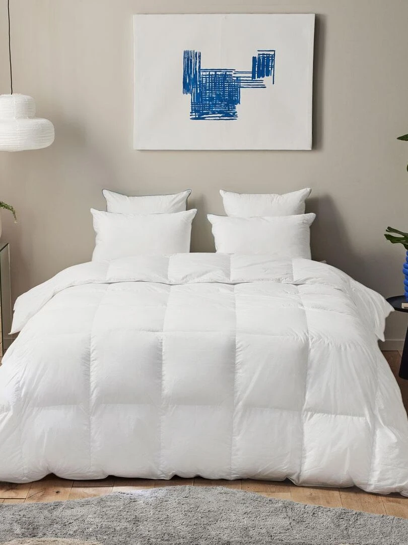 DUNLOPILLO Couette Premium 30% duvet Chaude Blanc
