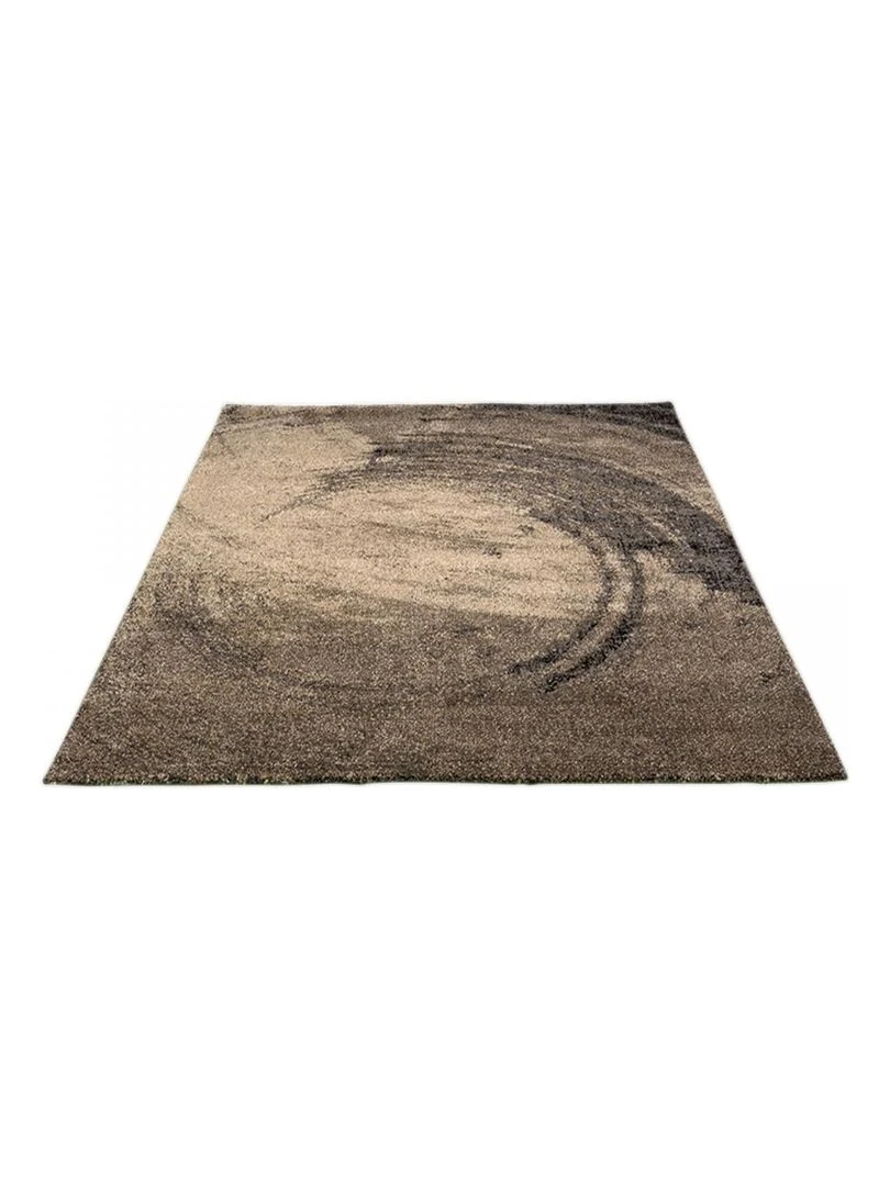 Tapis salon BINBA OEKO TEX®   Marron
