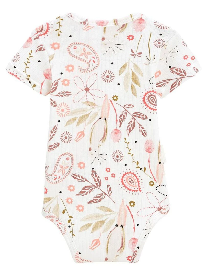 Lot de 2 bodies bébé manches courtes Haapiti   Ecru