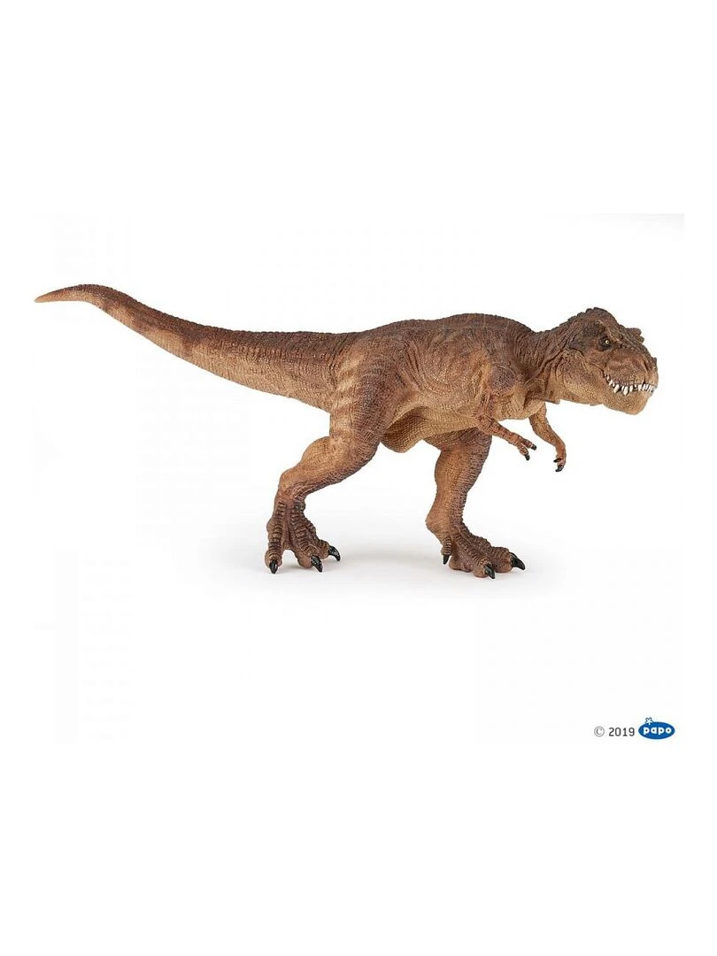 55075 T rex Courant Marron   N/A