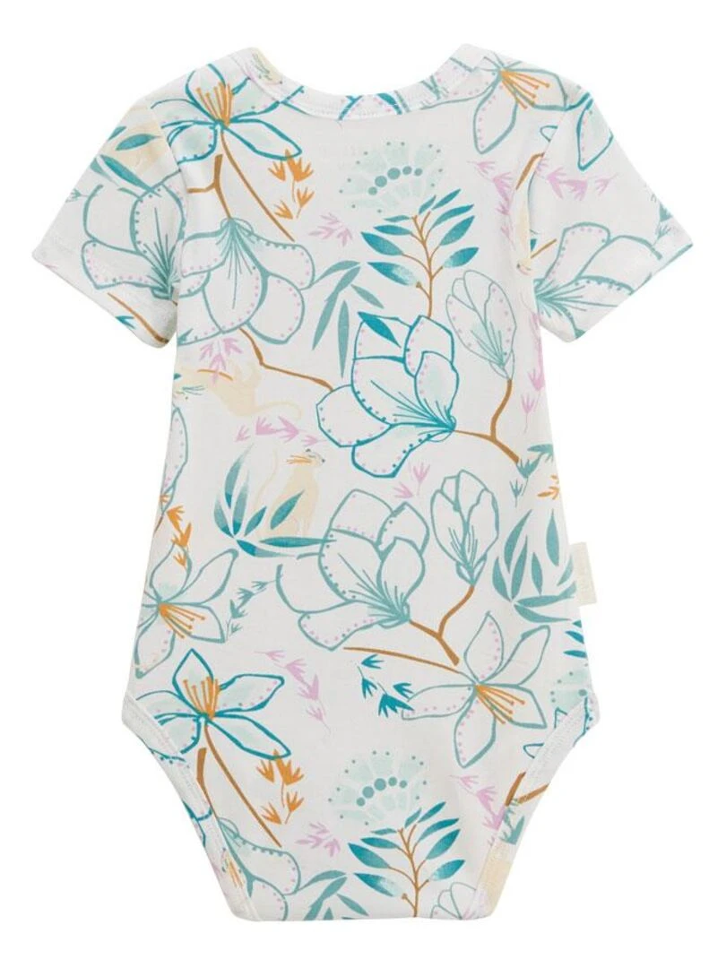 Lot de 2 bodies bébé manches courtes Patroika   Vert