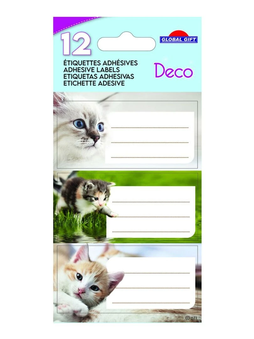12 étiquettes adhésives scolaires Rectangle Photos Chatons N/A