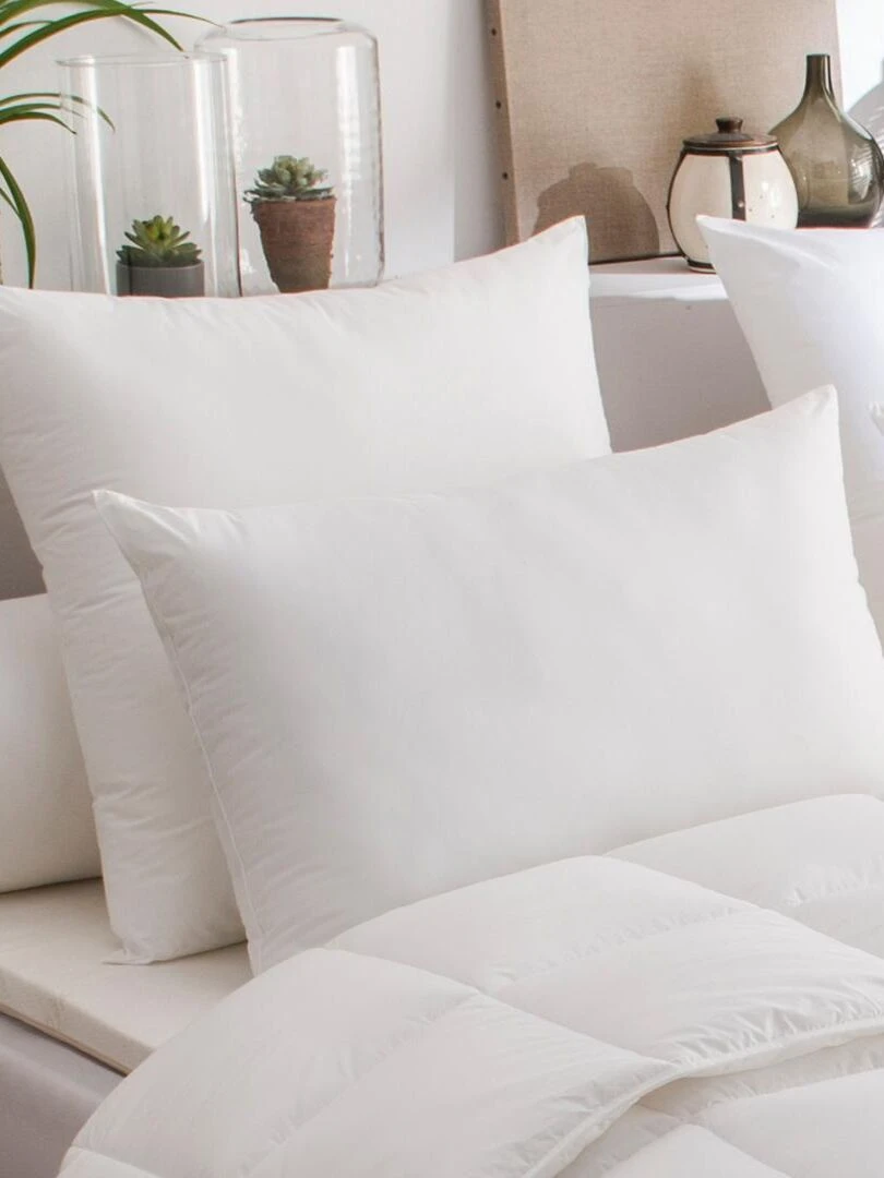 DODO Oreiller Acarina Anti acariens MEDIUM Blanc