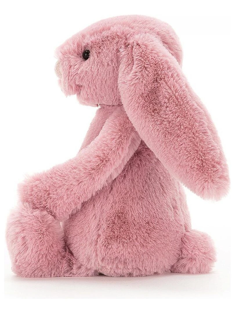 Bashful Tulip Bunny Little   Rose