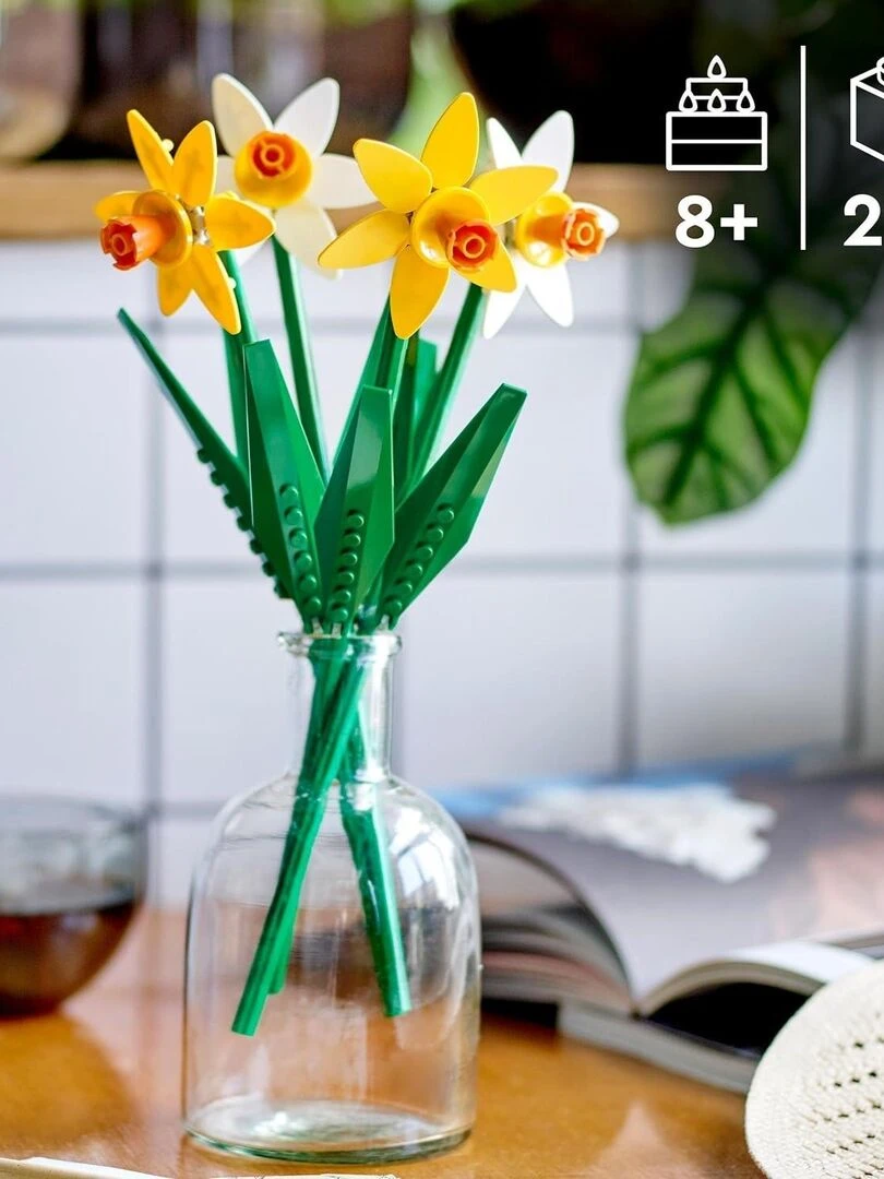 Les jonquilles   N/A