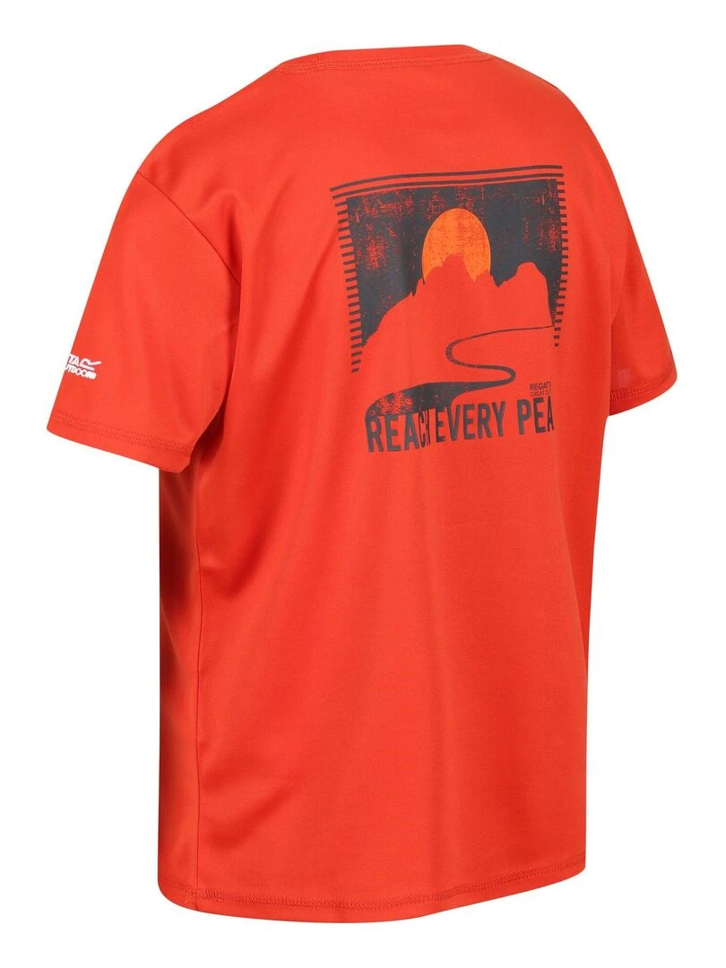 Regatta   T shirt ALVARADO   Rouge brique