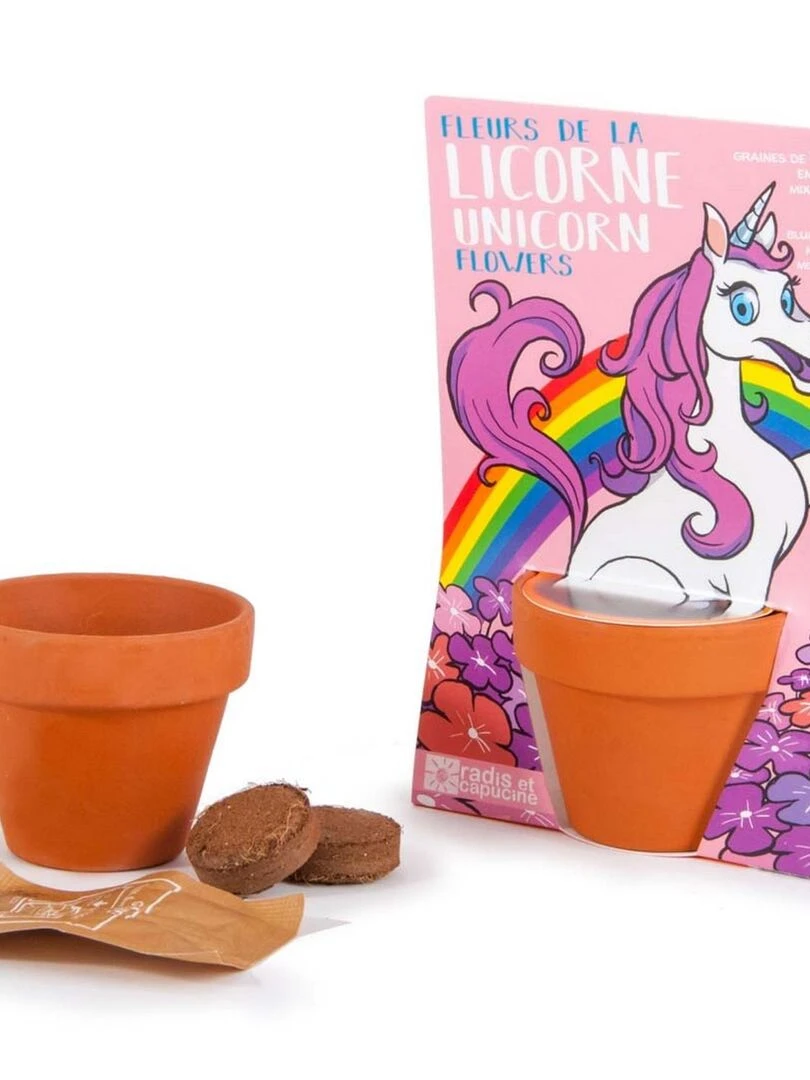 Kit de jardinage : Fleurs de licorne   N/A