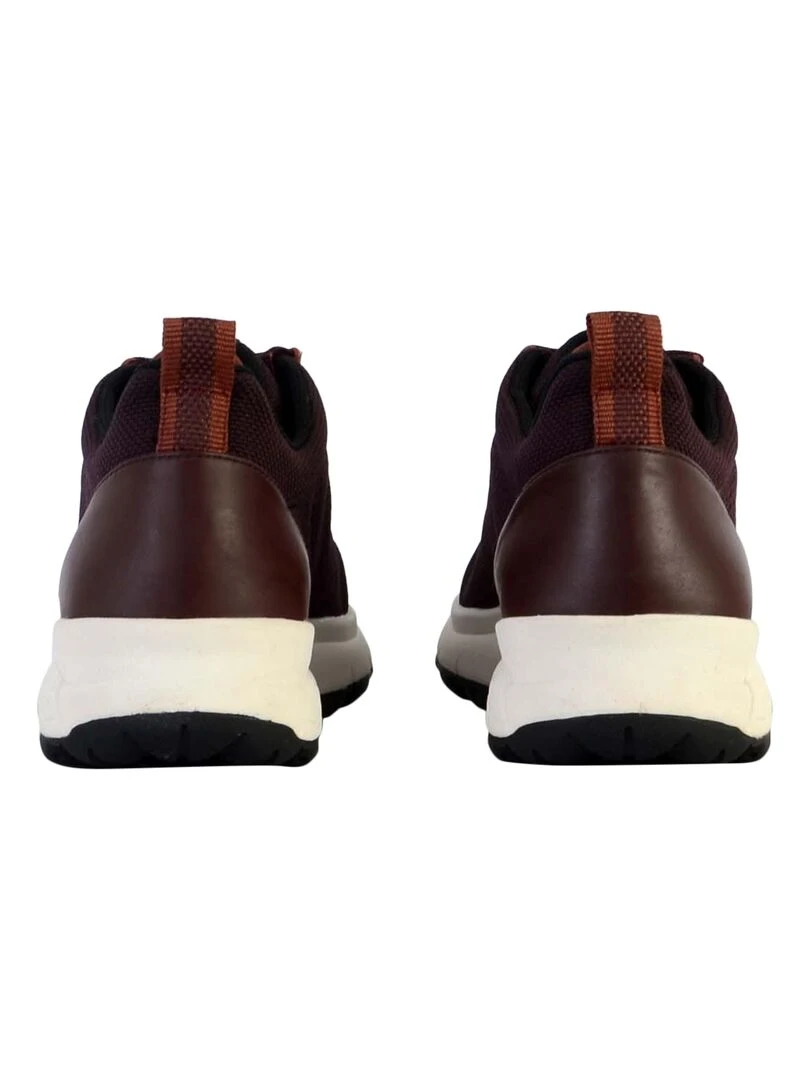 Basket Cuir Geox Spherica   Violet