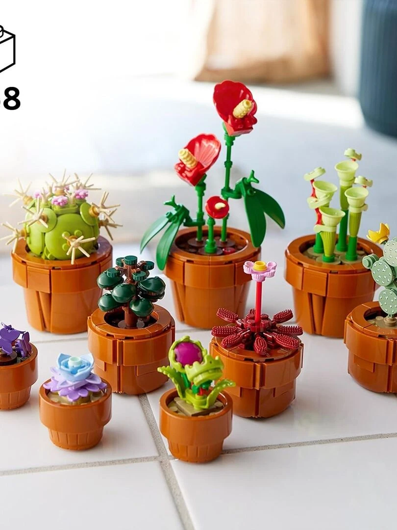 Icons   Les plantes miniatures  set sollection botanique avec fleurs artificielles   N/A