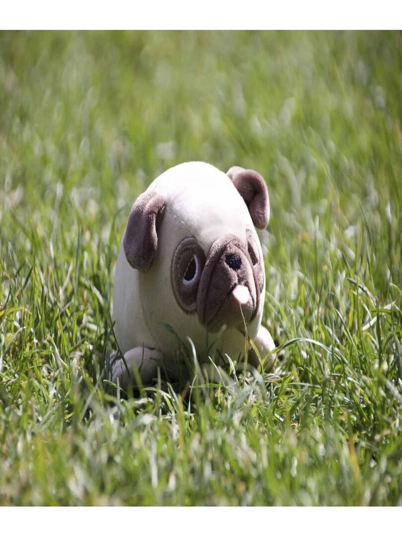 HANA Le Bulldog   Taille S   Multicolore