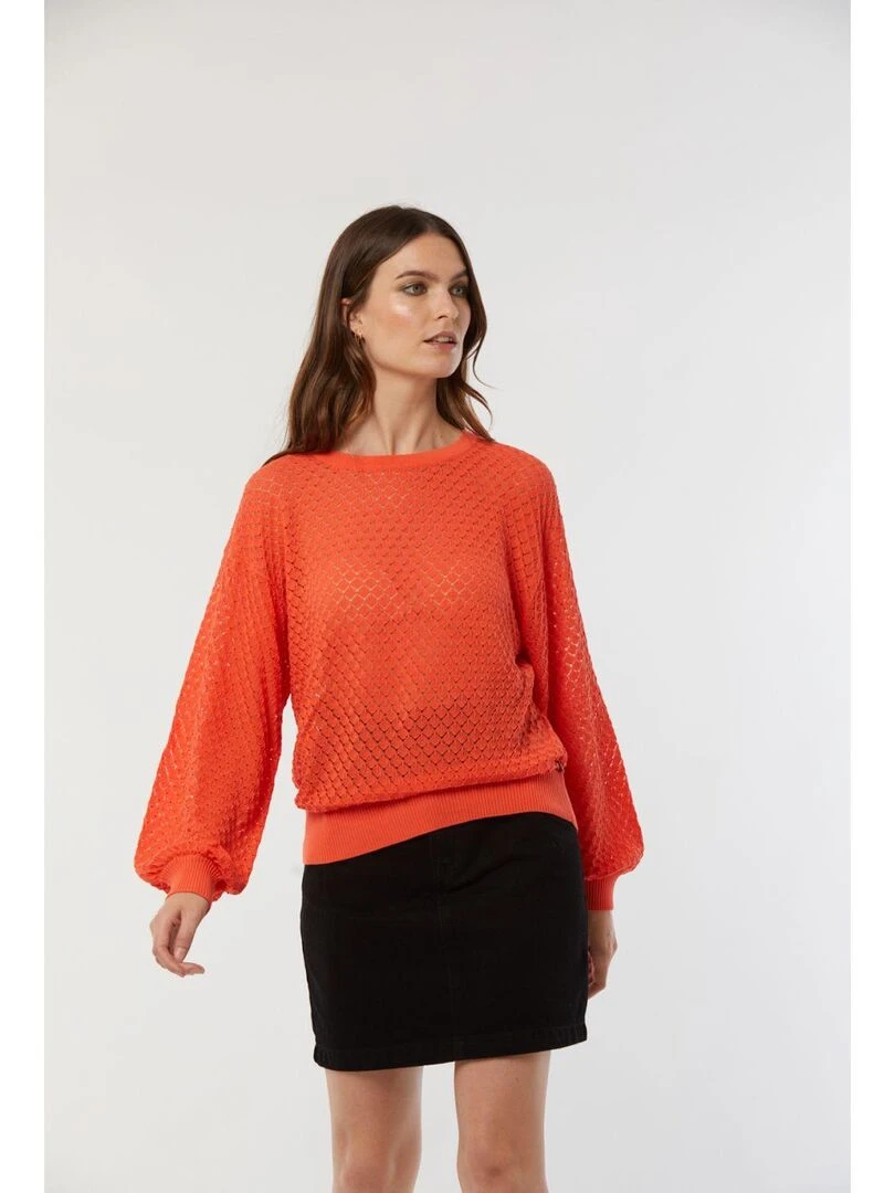 Lee Cooper   Pull manches longues coton regular CALIO   Orange