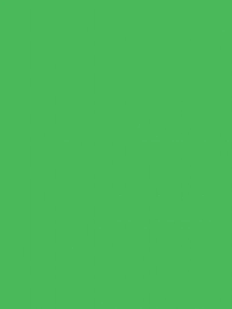 Peinture céramique et multi surfaces Vert victor 45 ml N/A
