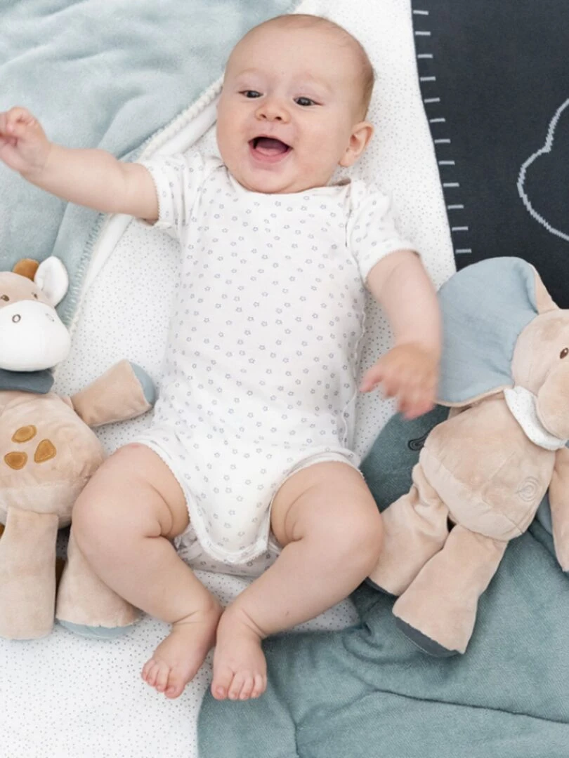 Peluche Luna & Axel éléphant (30 cm)   Vert