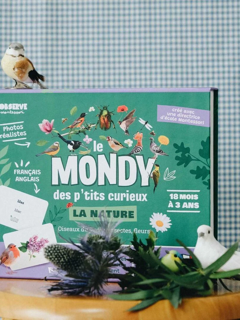 Mini Mondy Maison   N/A