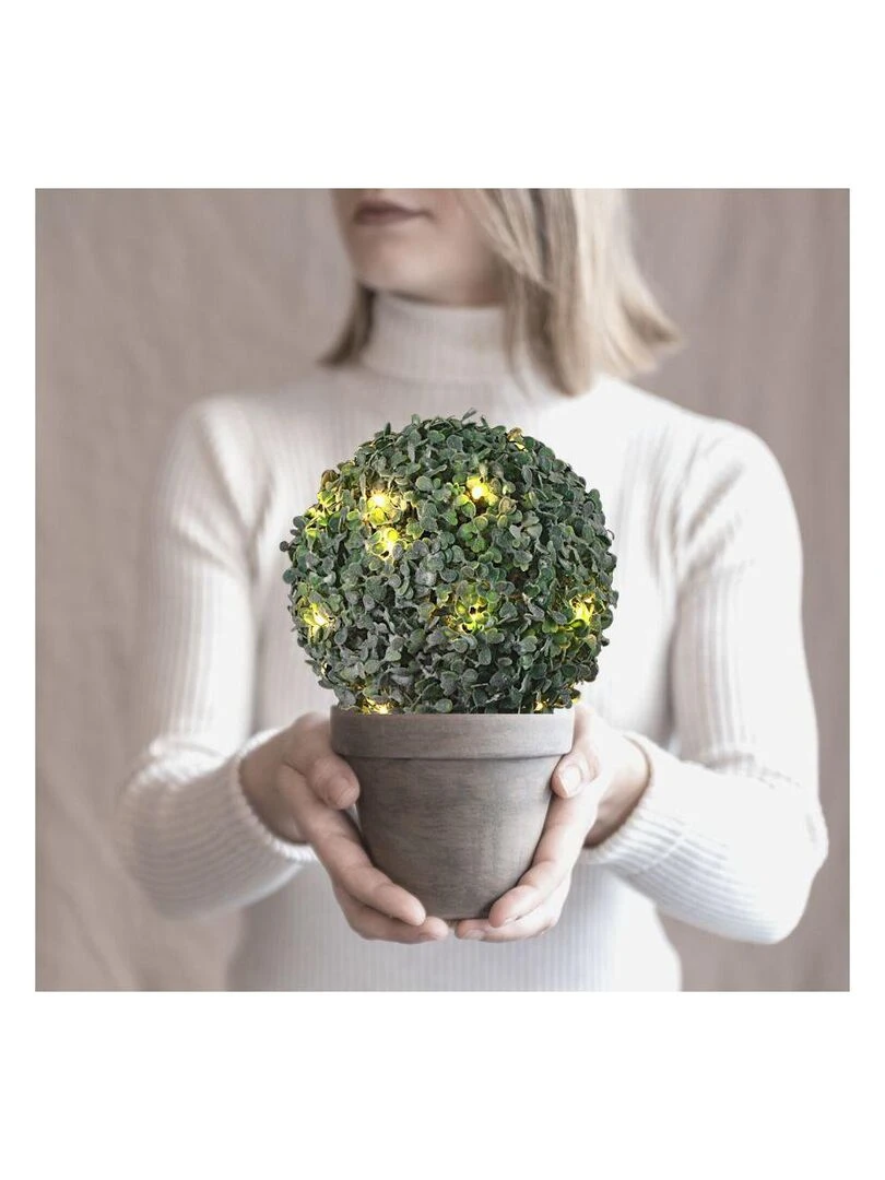 Petite boule de buis effet givré intérieur ou extérieur à planter leds Ø25 cm piles Vert