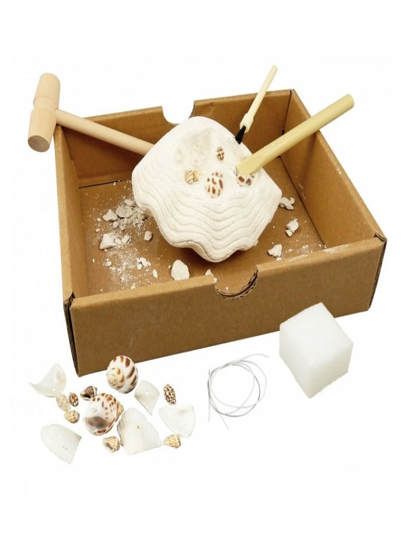 Kit D'expériences Coquillages N/A