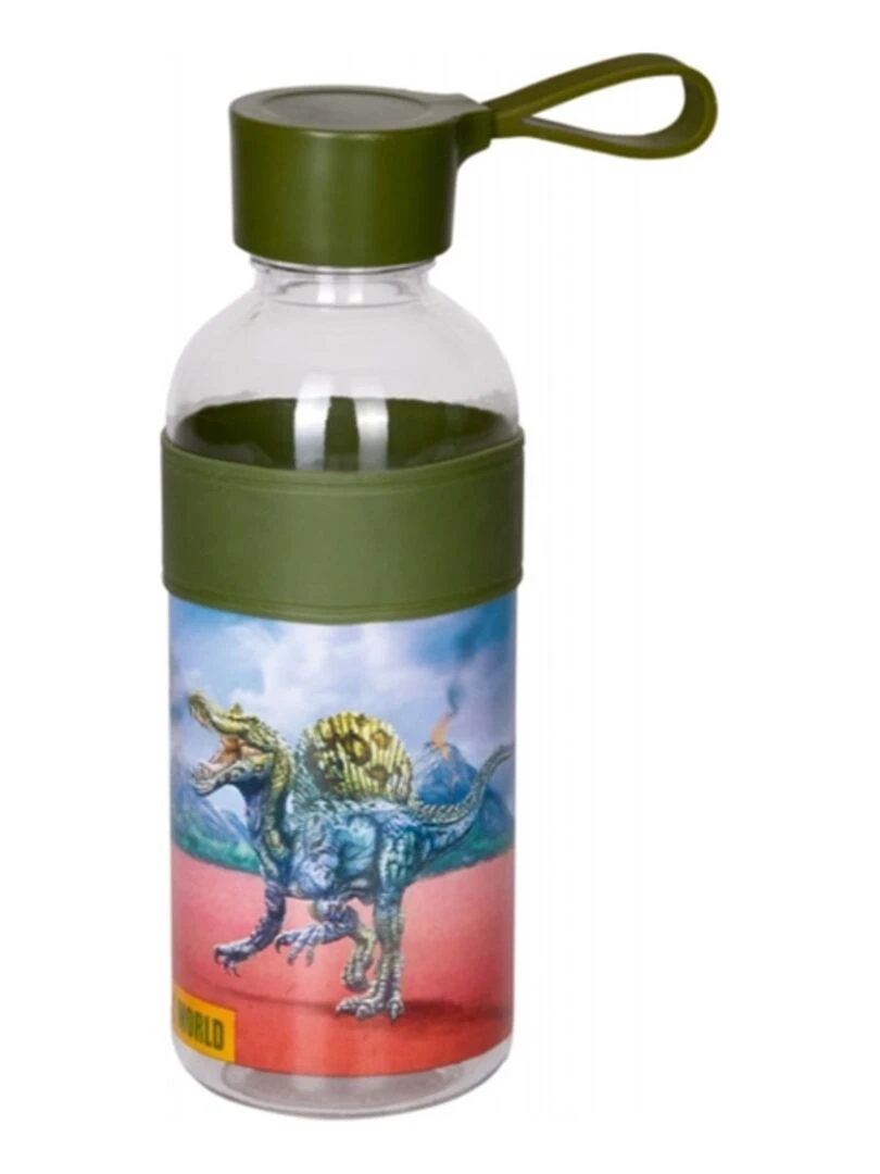 Gourde motif T Rex Dino Vert N/A