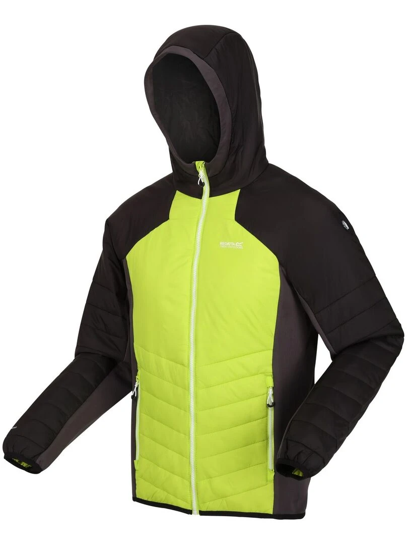 Regatta   Veste softshell TRUTTON   Gris Vert