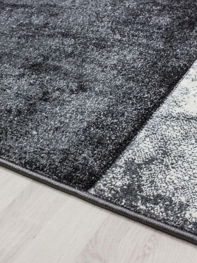Tapis salon CARARELLI OEKO TEX®   Argent