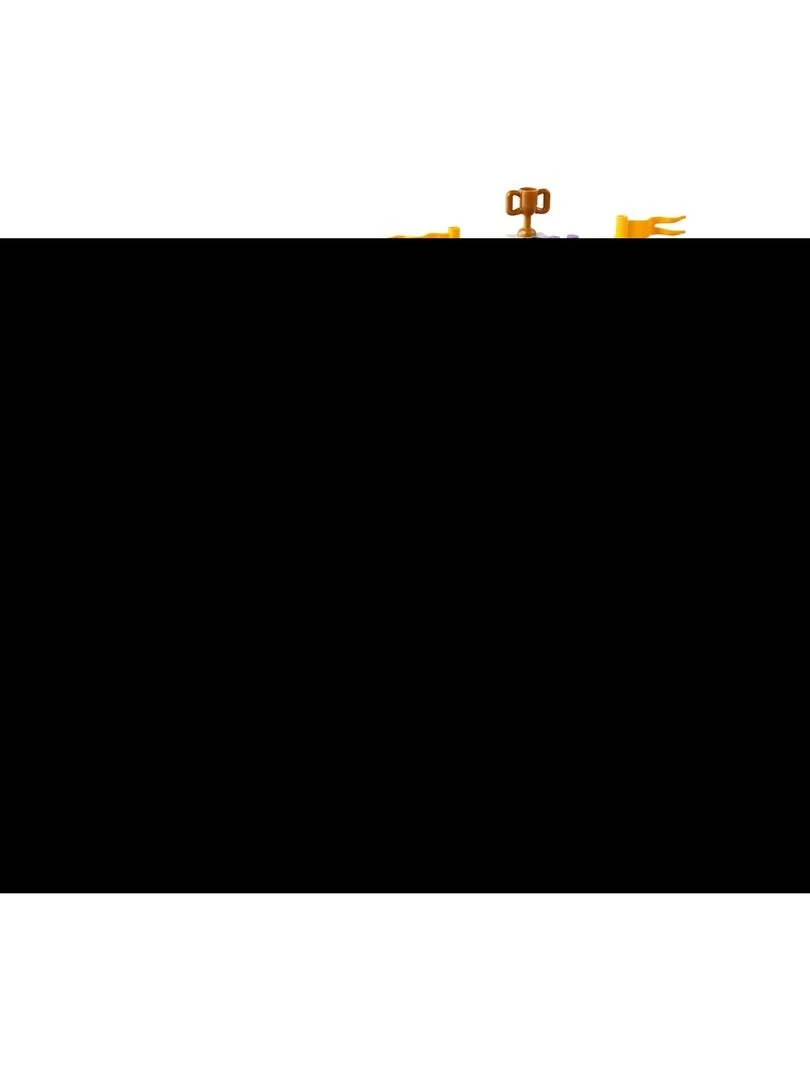 41746 Le dressage équestre Lego Friends   N/A