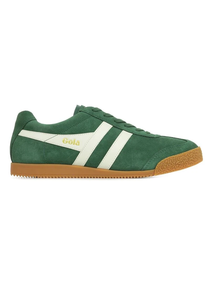 Baskets Harrier Suede Vert