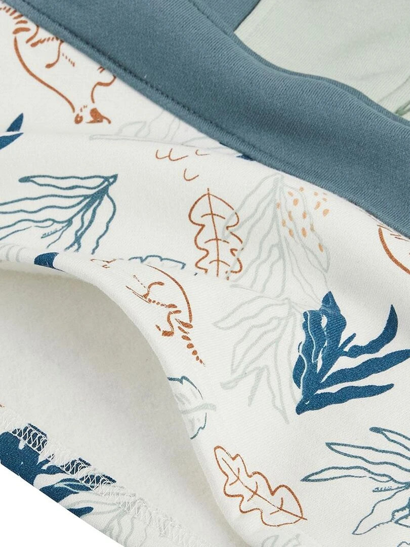 Sweat shirt à capuche en molleton garçon Oslo   Vert