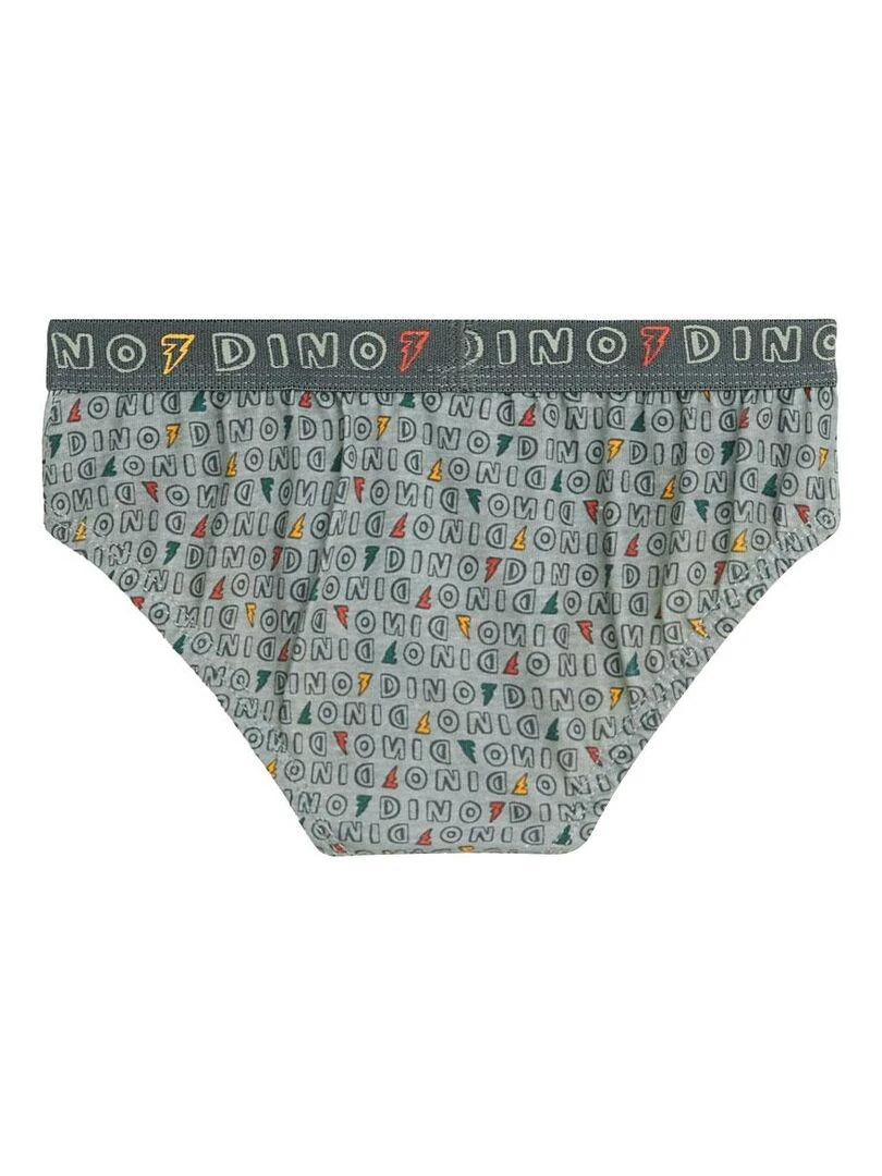 Lot de 3 slips garçon Tadam   Gris