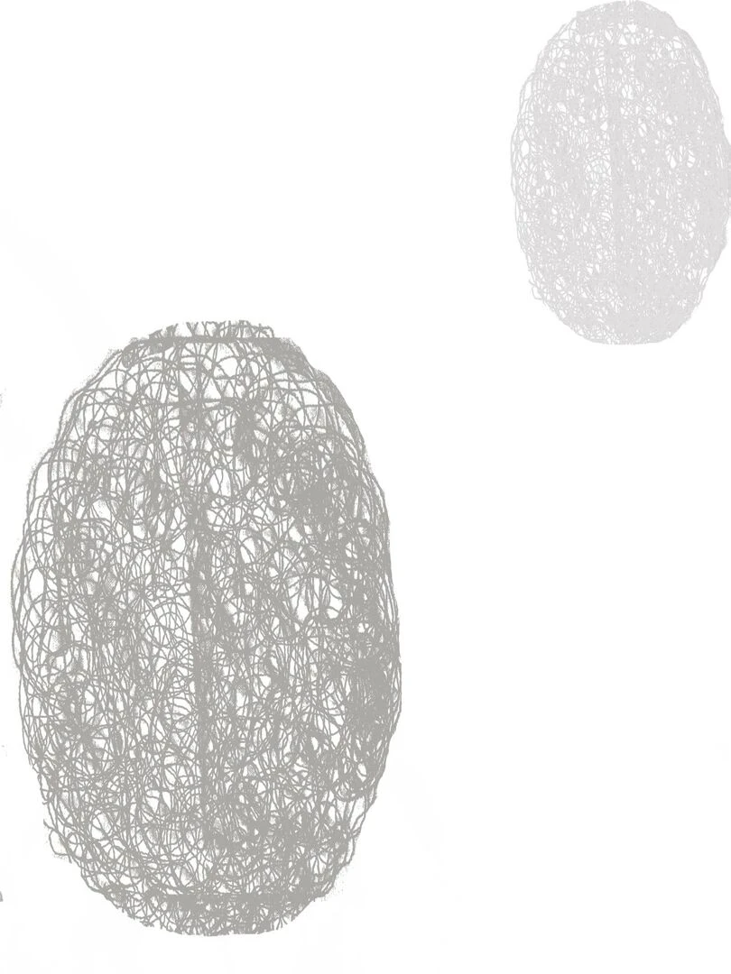 Vitrage Blanc Brodé 'Ronds Mêlés'   Blanc