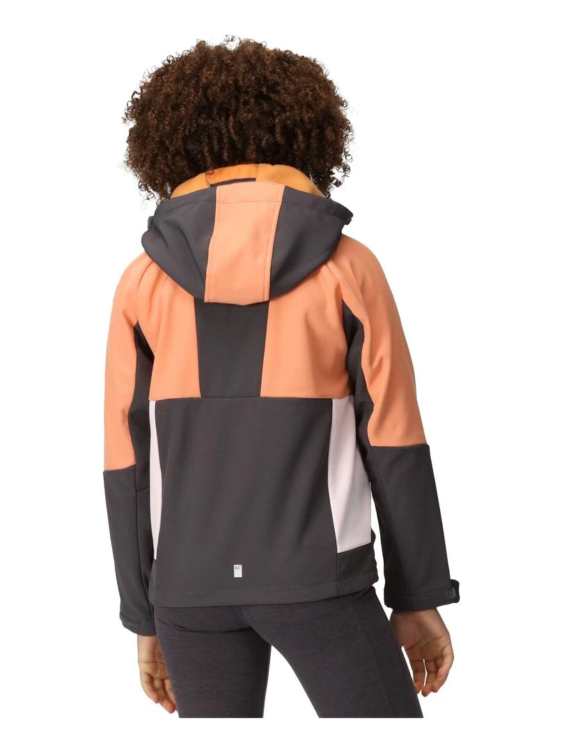 Regatta   Veste softshell HAYDENBURY   Gris Orange