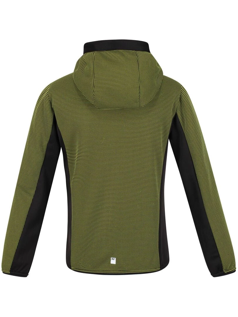 Regatta Veste polaire HIGHTON Gris Vert