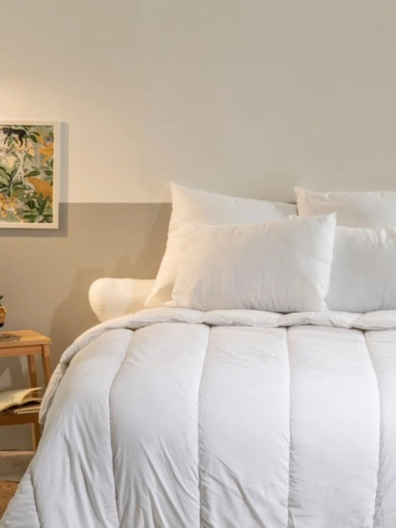 Bleu Câlin Oreiller ferme anti acariens sanitized Blanc