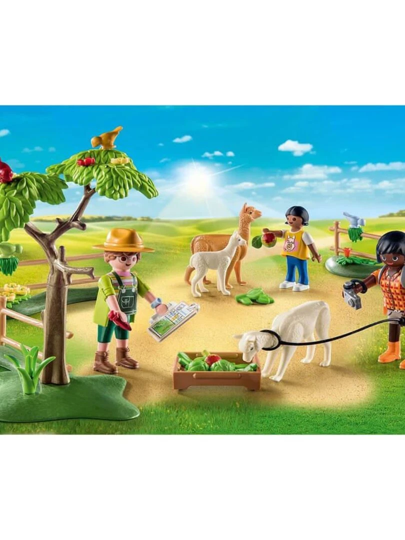 71251 La Ferme Randonneurs et alpagas   N/A