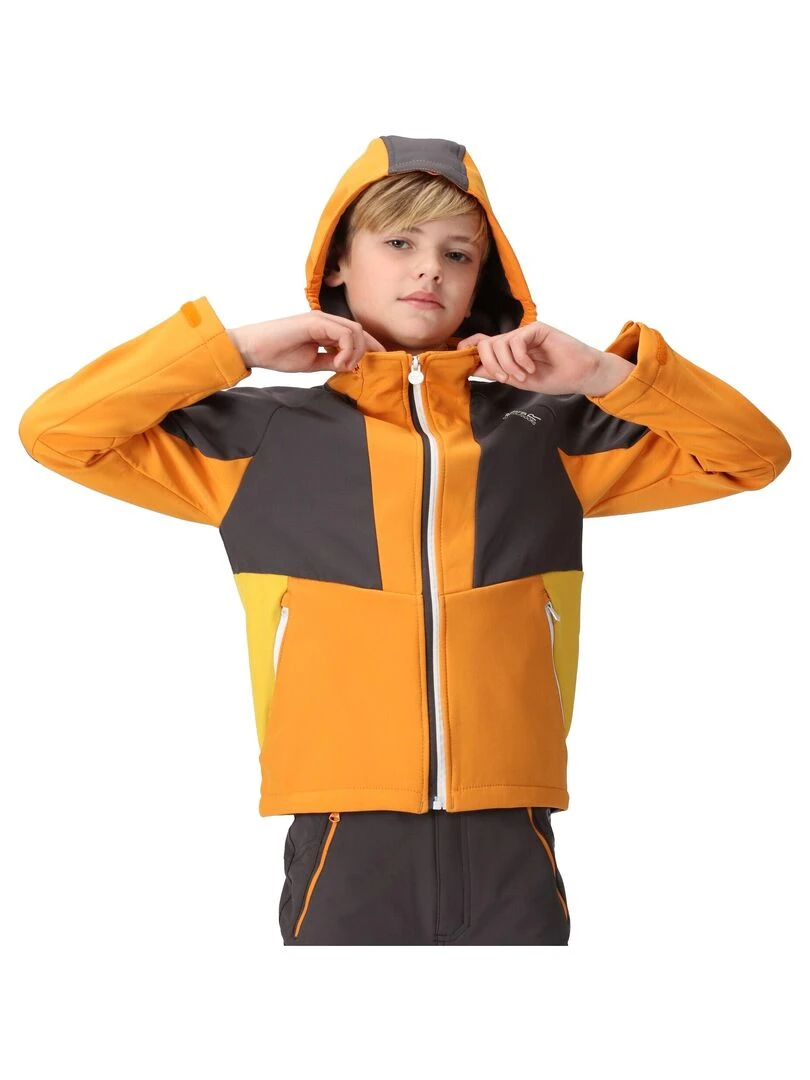 Regatta   Veste softshell HAYDENBURY   Orange mandarine