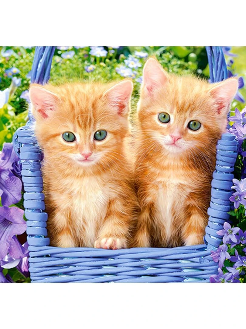 Puzzle 60 pièces : Chatons Roux N/A
