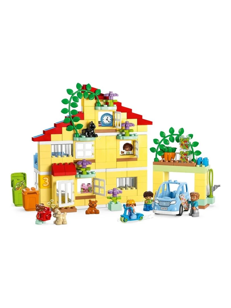 10994 La maison familiale 3 en 1   N/A