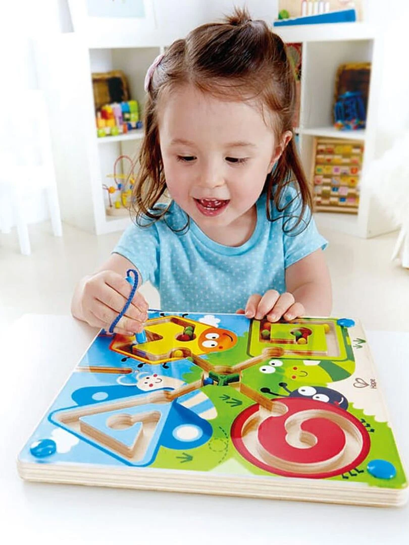 Labyrinthe magnétique insectes   N/A