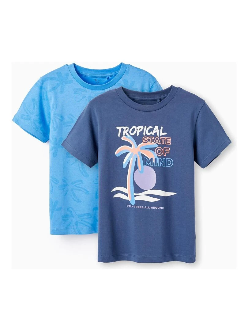 2 T shirts en Coton pour Garçon 'Tropical' manches courtes Bleu foncé
