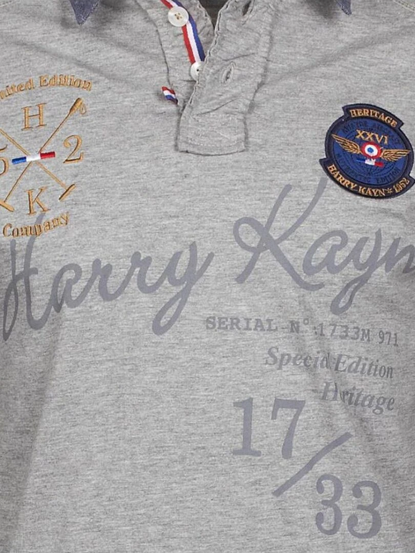 Polo manches longues homme CAZBI   HARRY KAYN   Gris