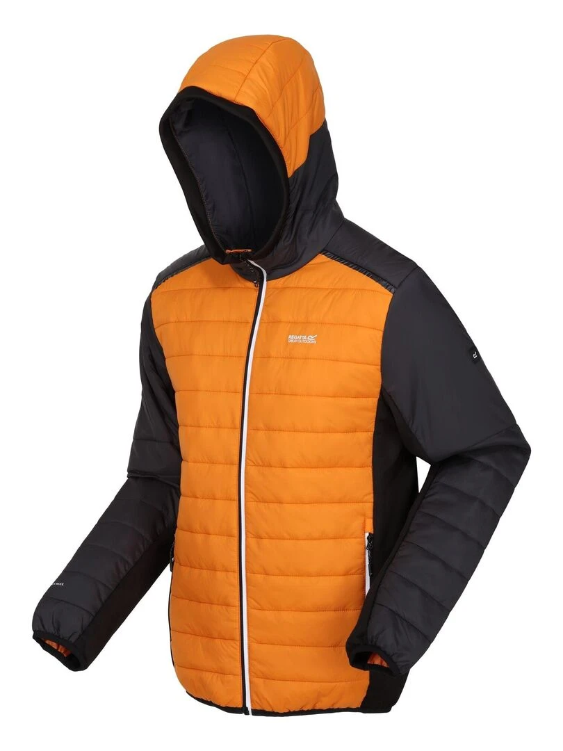 Regatta   Veste matelassée TRUTTON   Orange