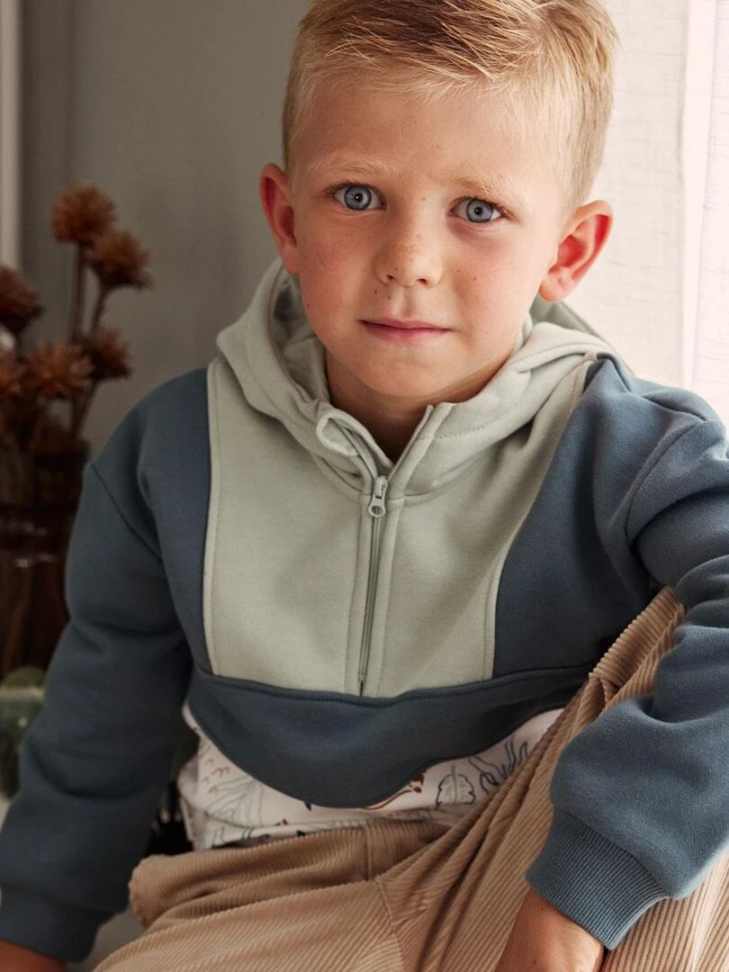 Sweat shirt à capuche en molleton garçon Oslo   Vert