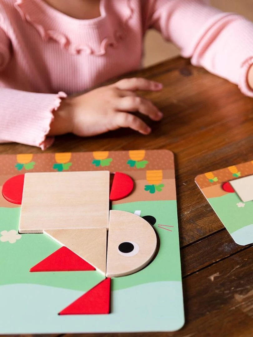 Jeu de société éducatif First forms   N/A