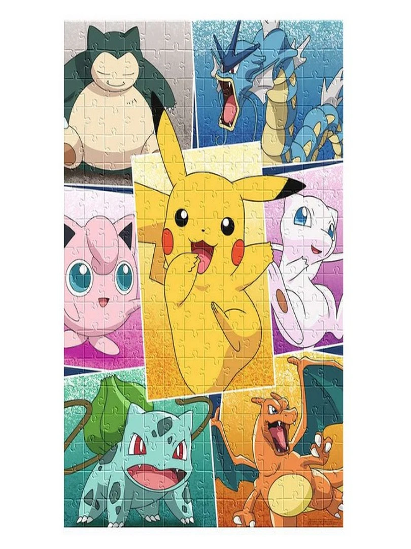 Puzzle Types De Pokemon 250 Pieces   N/A