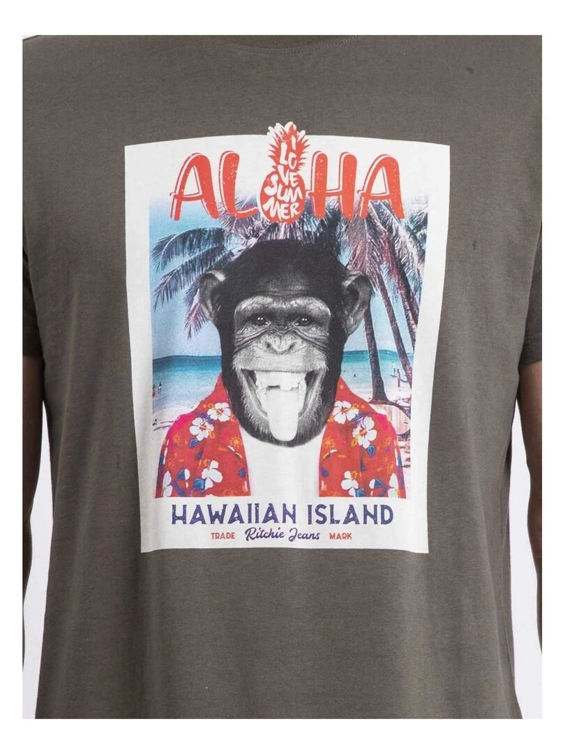 T shirt col rond NIPAGOLO   Kaki