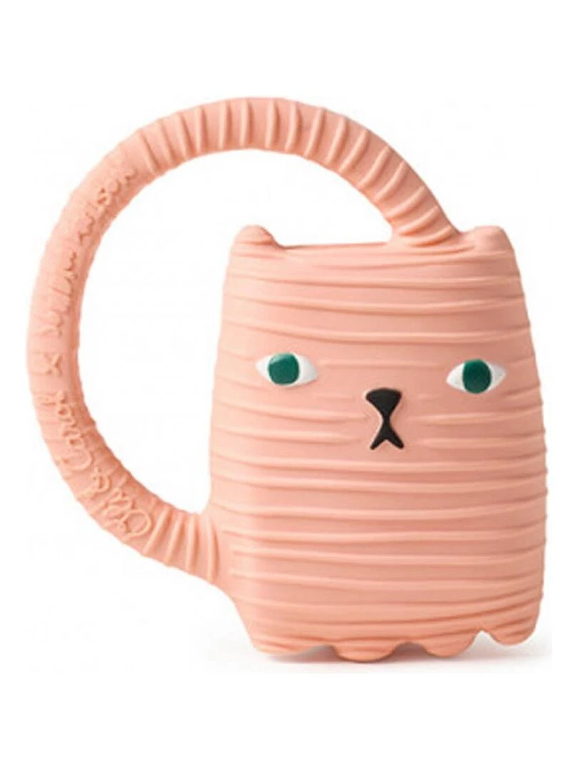 Ginge le chat Rose