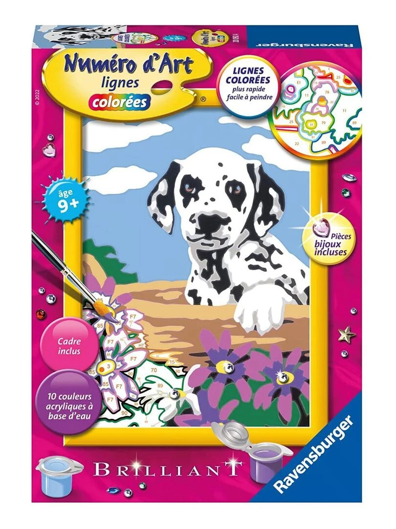 Numéro d'art   petit   Bébé dalmatien   N/A