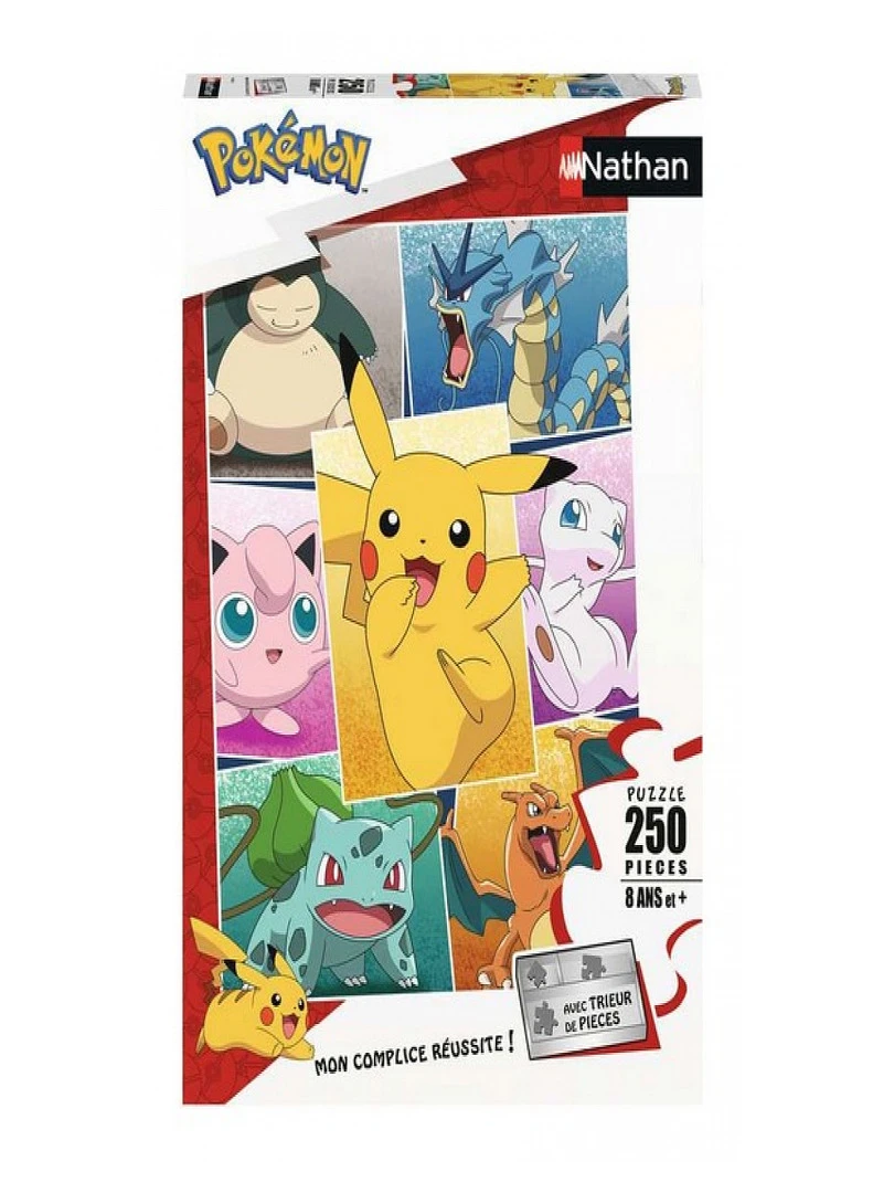 Puzzle Types De Pokemon 250 Pieces   N/A