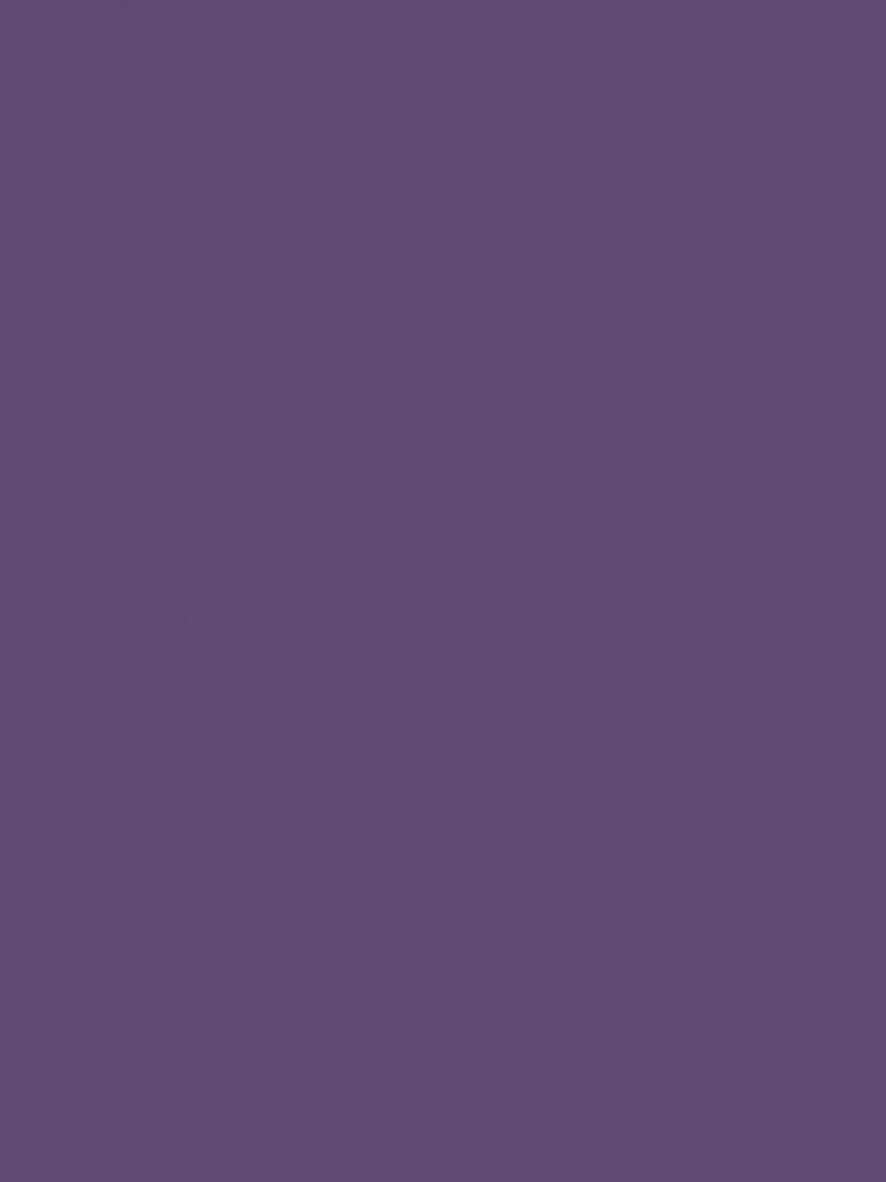 Peinture acrylique opaque mate Cassis 45 ml N/A